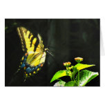 Colorful Butterfly Note Card