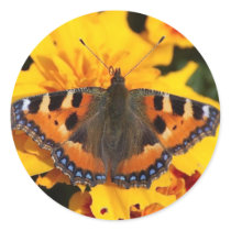 Colorful Butterfly Sticker