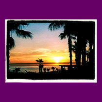 colorful cabo print