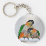 Colorful Caique Parrot Pair Keychain