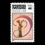 Colorful Calla Initial D