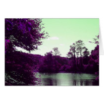 Colorful Cape Cod cards