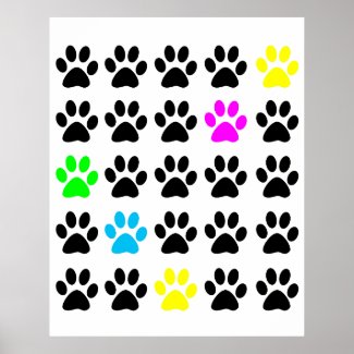 Colorful Cat Paws Poster