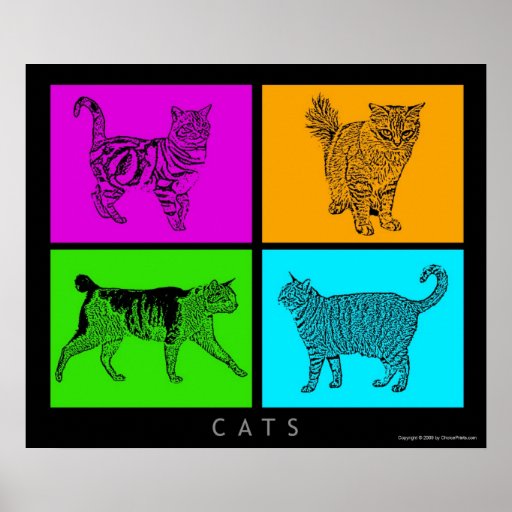Colorful Cats Posters