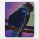 Colorful Cockatiel mousepads