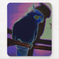 Colorful Cockatiel mousepads