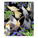 Colorful Cockatiels Poster posters by twopurringcats Colorful Cockatiels Poster posters