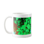 COLORFUL COFFEE MUGS