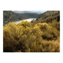 Colorful Colorado Canyon Brush Prints
