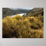 Colorful Colorado Canyon Brush Prints
