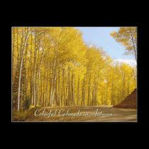 Colorful Colorado in Autumn postcards