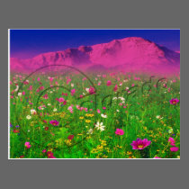Colorful Colorado, Pikes Peak Mountain postcards