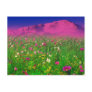 Colorful Colorado, Pikes Peak Mountain Post Card