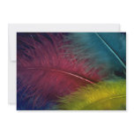 Colorful Colored feathers Invitations