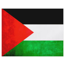 Colorful Contrast PalestinianFlag Custom Flyer