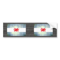 Colorful Contrast PatagonianFlag Bumper Sticker