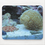 Colorful Coral in saltwater aquarium mousepad