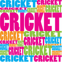 Colorful Cricket photo sculptures