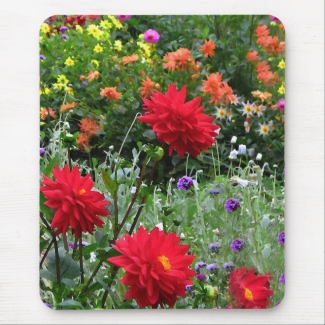 Colorful Dahlia Flower Garden Mousepad