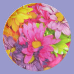 Colorful Daisies Bouquet Plate