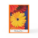 Colorful Daisies cards by Skinnyhuen Colorful Daisies cards