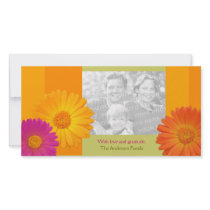 Colorful Daisy Flowers personalized photo card photo cards by BluePlanet Colorful Daisy Flowers personalized photo card photo cards