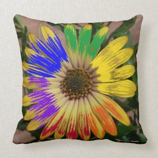 Colorful Daisy Pillow