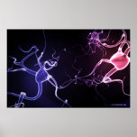 Colorful depiction of neurons print