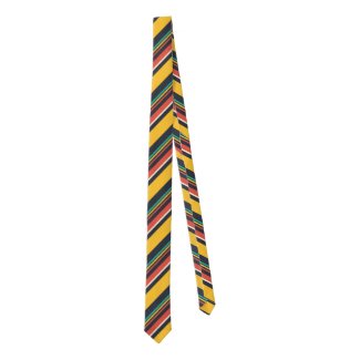 Colorful Diagonal Stripes Pattern Tie