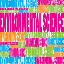 Colorful Environmental Science photo sculptures