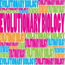 Colorful Evolutionary Biology photo sculptures