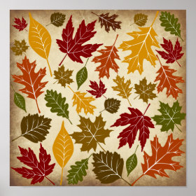 Colorful Fall Autumn Tree Leaves Pattern Gifts
