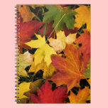 Colorful fall leaves notebook notebooks