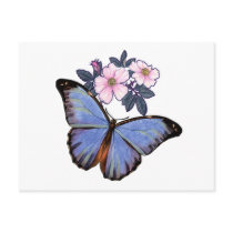 Colorful Fantasy  Butterfly-02 Post Card