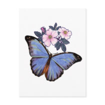 Colorful Fantasy  Butterfly-02 Post Card