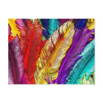 COLORFUL FEATHERS POST CARDS