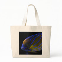 Colorful Fish Bag