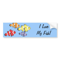 Colorful Fish Bumper Stickers