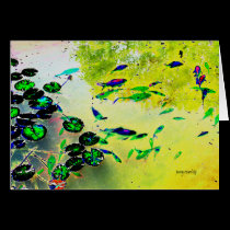 Colorful Fish Card cards