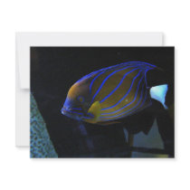 Colorful Fish Personalized Invitation