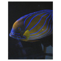 Colorful Fish Customized Letterhead
