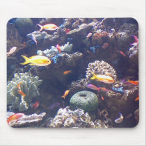 Colorful Fish mousepads