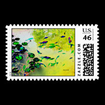 Colorful Fish Postage stamps