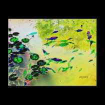 Colorful Fish Postcard postcards