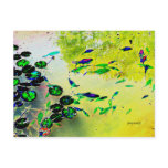 Colorful Fish Postcard