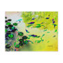 Colorful Fish Postcard