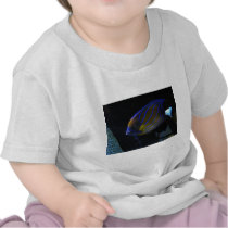 Colorful Fish T Shirts