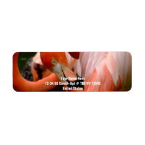 Colorful Flamigo 1 Custom Return Address Labels