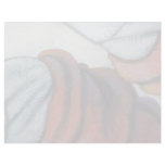 Colorful Flannel Shirt Letterhead