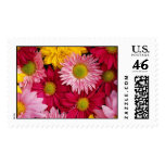 Colorful Flower Collage Postage Stamp